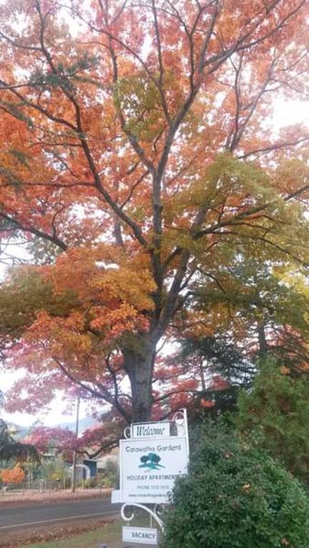 Carawatha Gardens Bright Quarto foto