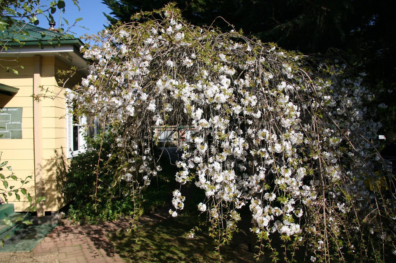 Carawatha Gardens Bright Exterior foto